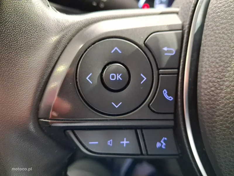 Toyota RAV 4 XA50 19