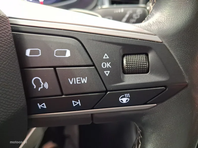 Seat Ateca 19