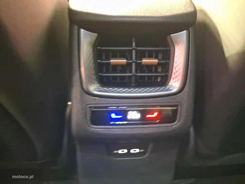 Cupra Terramar 14