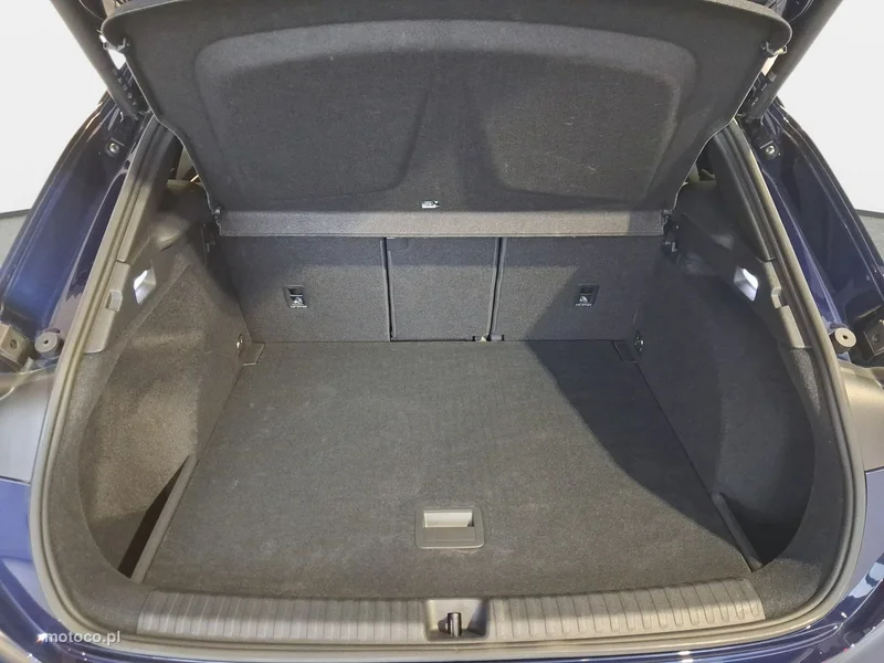 Cupra Terramar 15