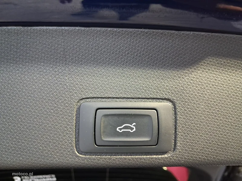 Cupra Terramar 17