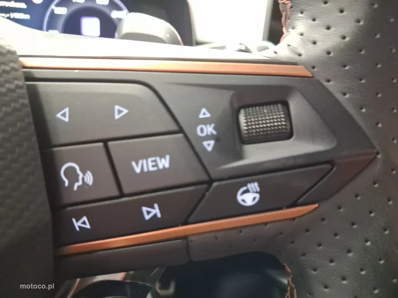 Cupra Terramar 19