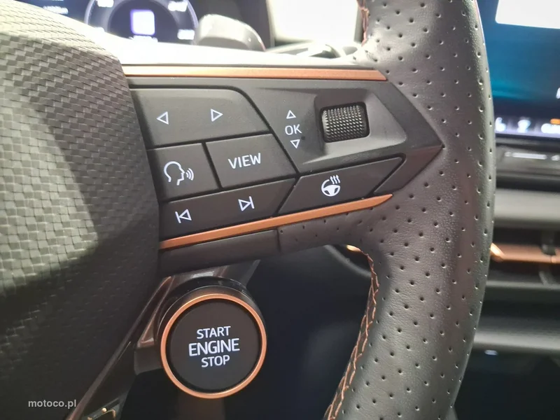 Cupra Terramar 21