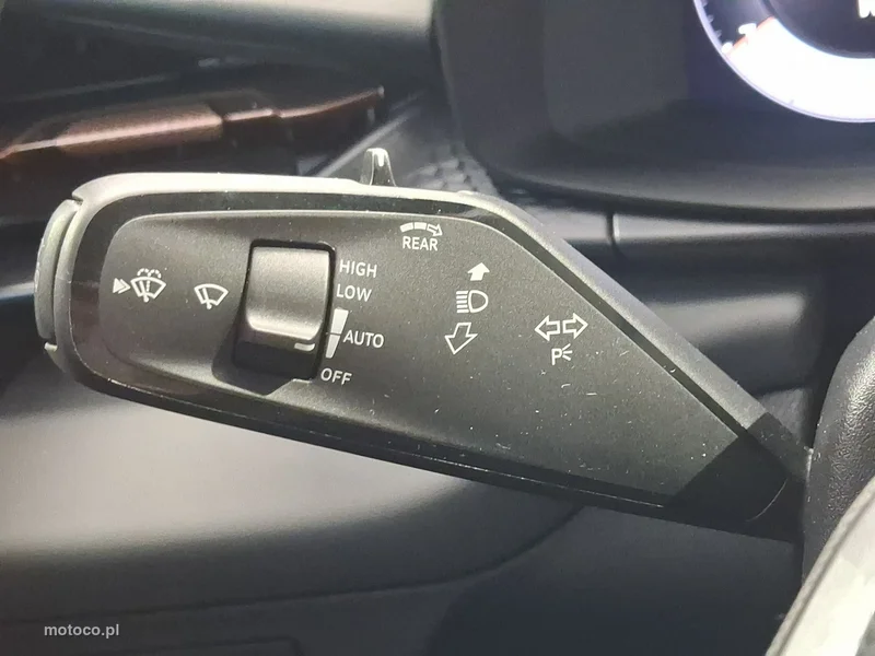 Cupra Terramar 22