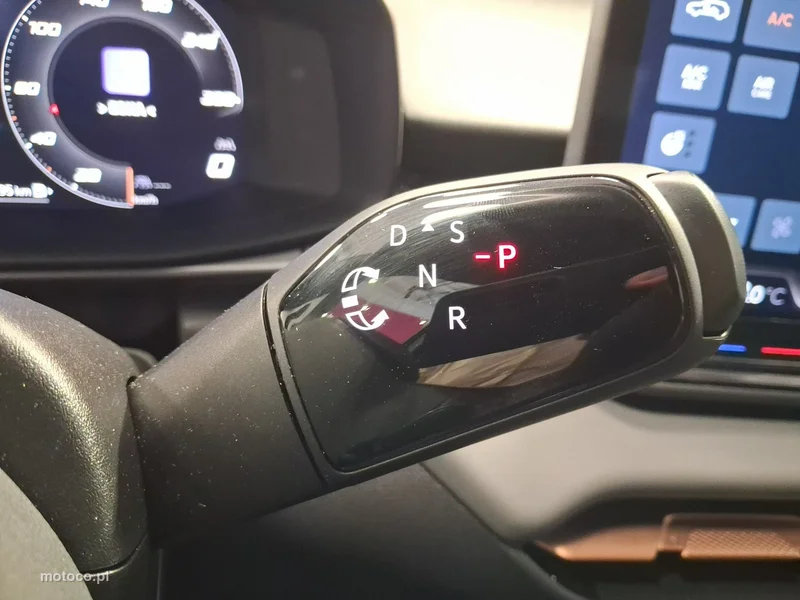 Cupra Terramar 23