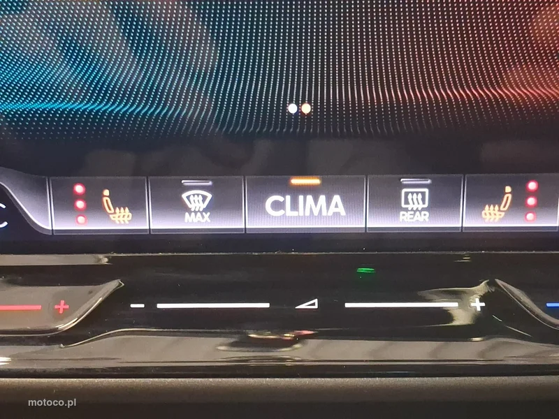 Cupra Terramar 28