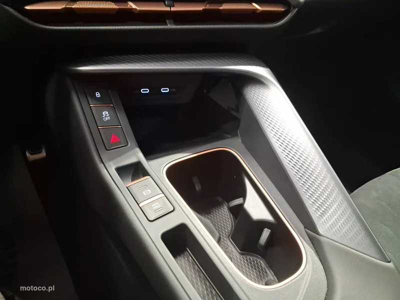Cupra Terramar 29