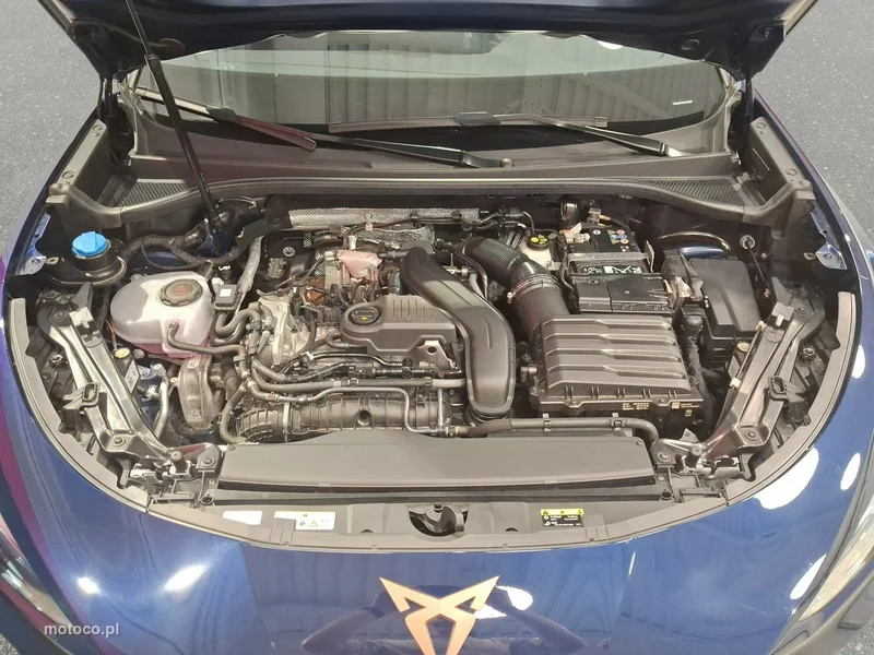 Cupra Terramar 31