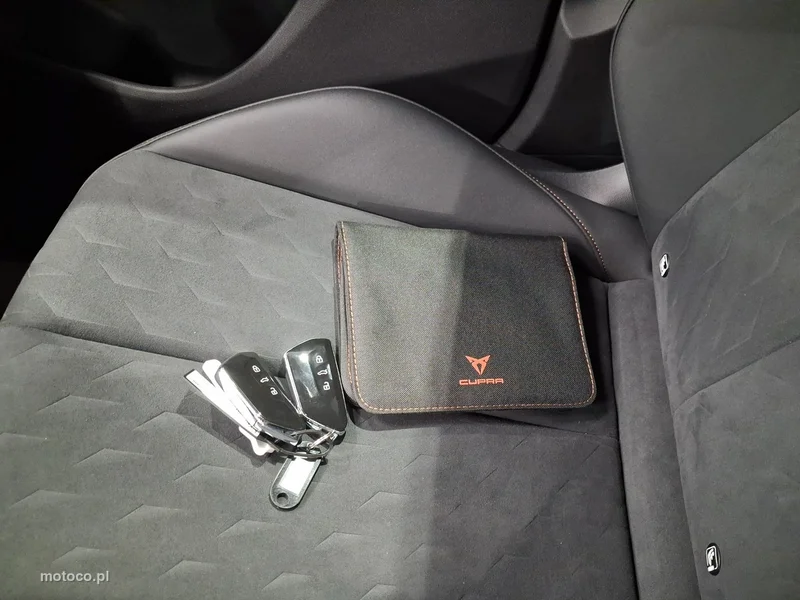 Cupra Terramar 32