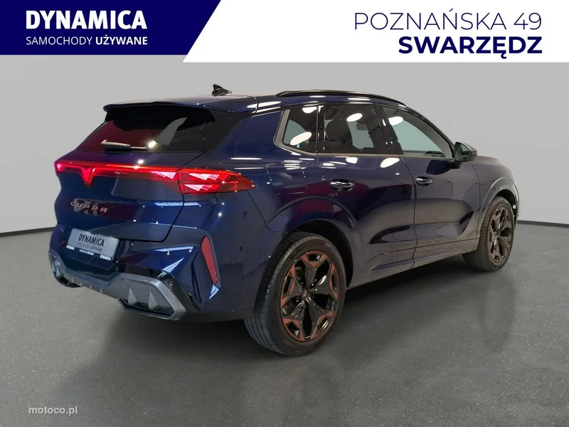 Cupra Terramar 7