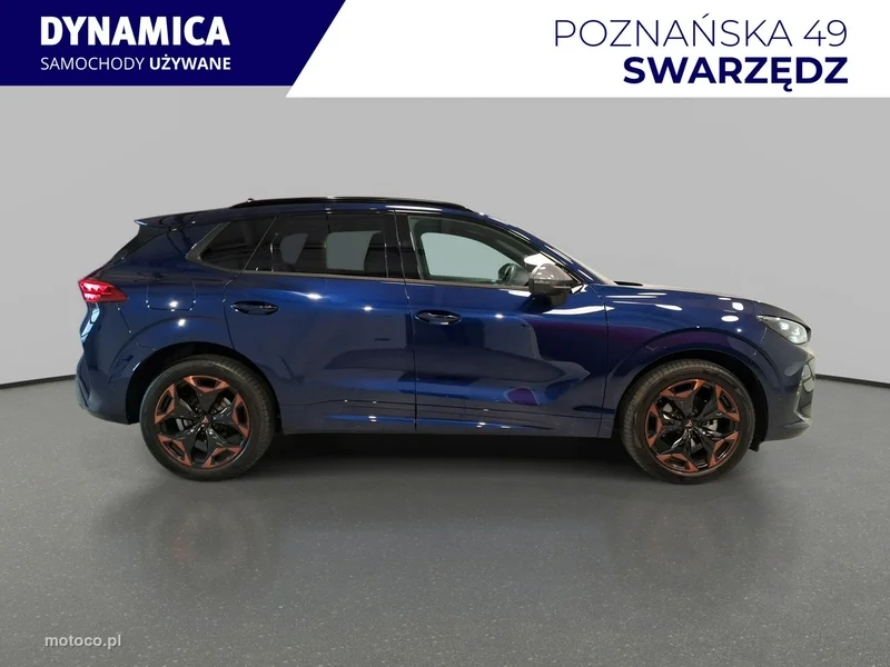 Cupra Terramar 8
