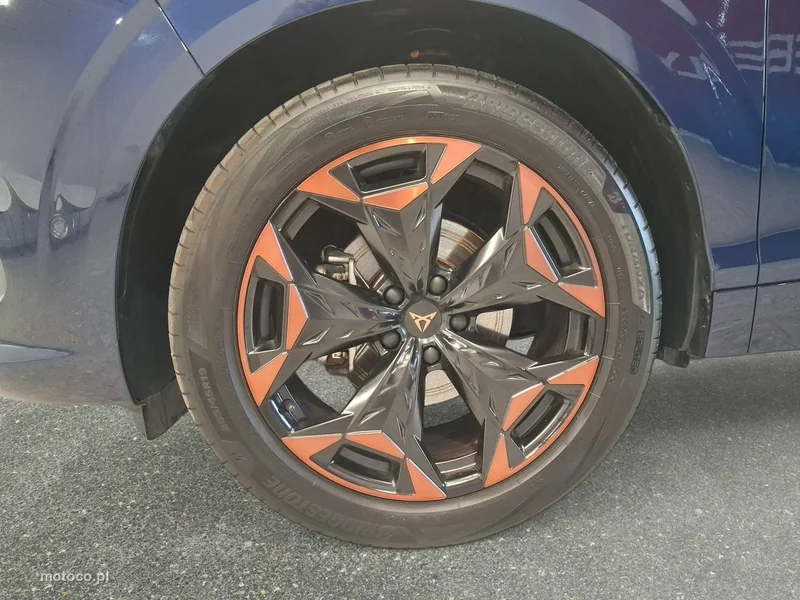 Cupra Terramar 10