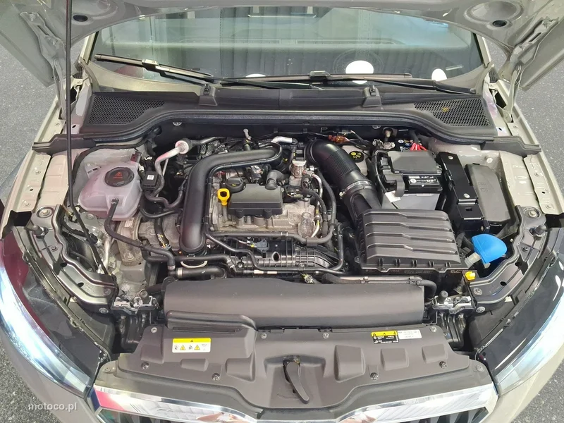 Skoda Scala I 29