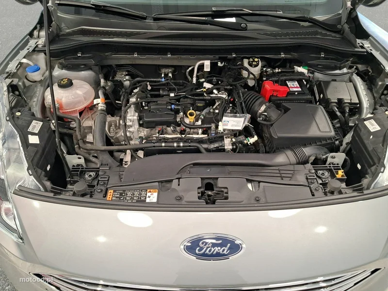 Ford Kuga III 24