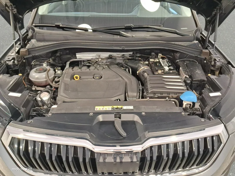 Skoda Kodiaq I 22