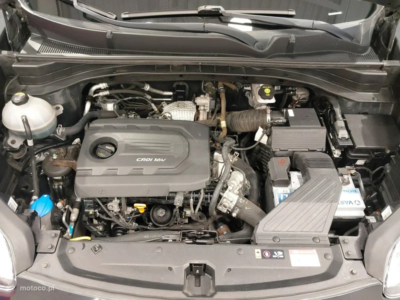 Kia Sportage 20