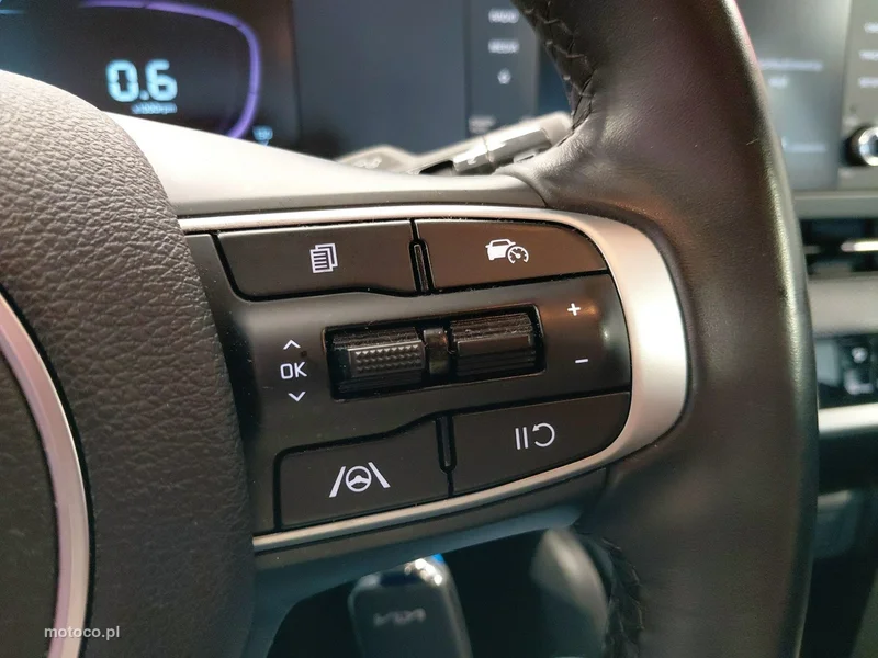 Kia Sportage 20