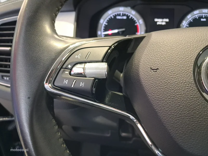 Skoda Kodiaq I 14