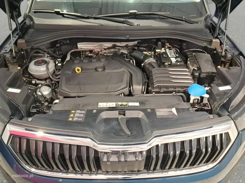 Skoda Kodiaq I 22