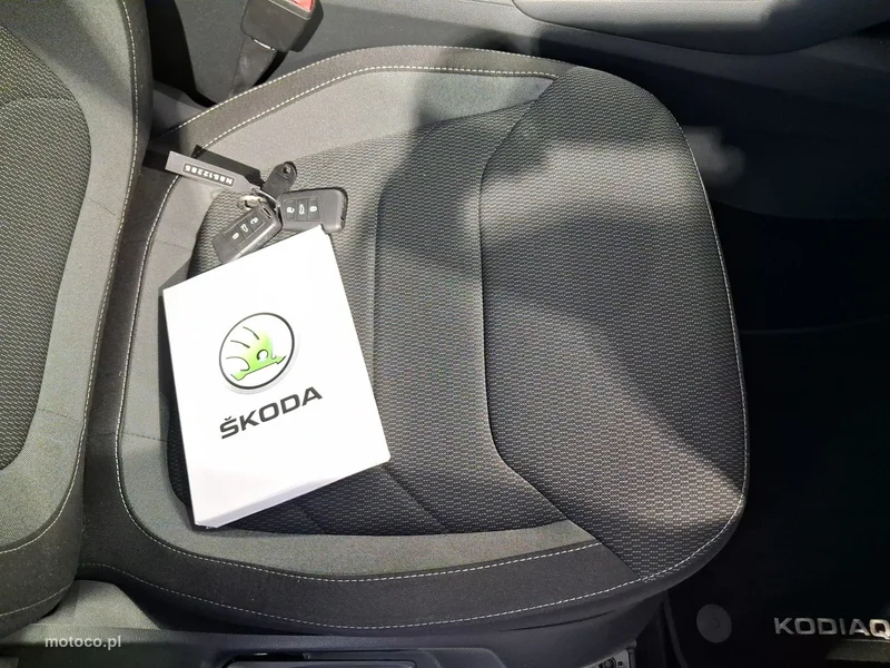 Skoda Kodiaq I 23