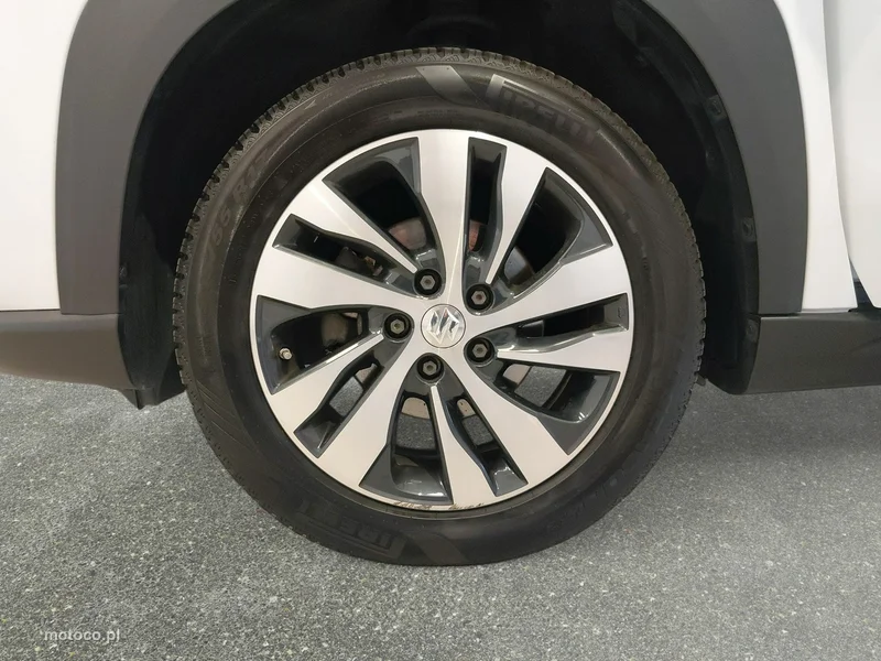 Suzuki (SX4) S-Cross 10