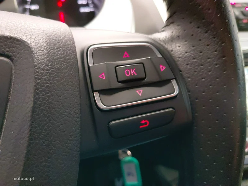Seat Altea XL 19
