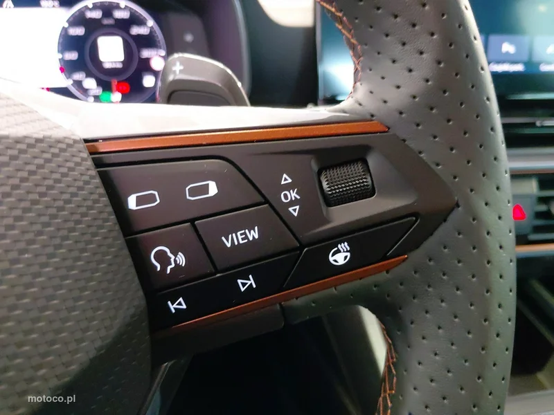 Cupra Formentor 24