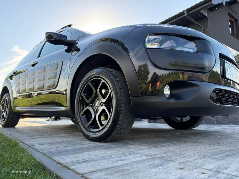 Citroen C4 Cactus 11