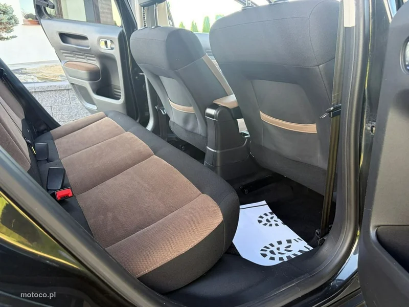 Citroen C4 Cactus 38