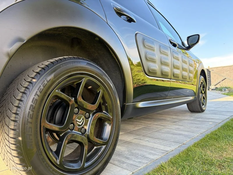 Citroen C4 Cactus 10