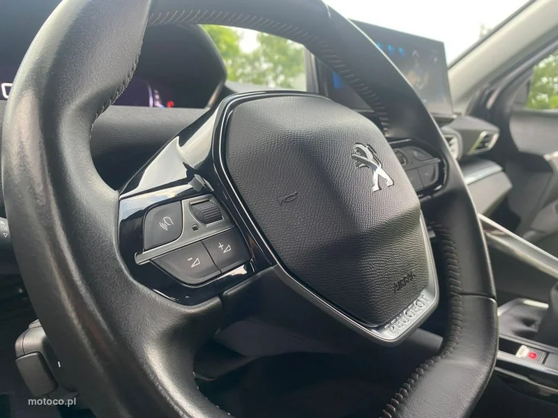 Peugeot 3008 25