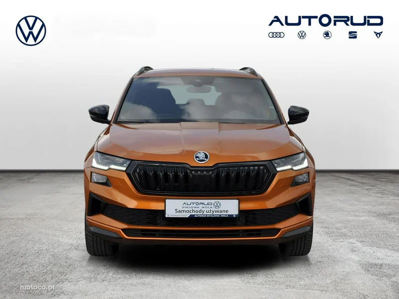 Skoda Karoq I 3