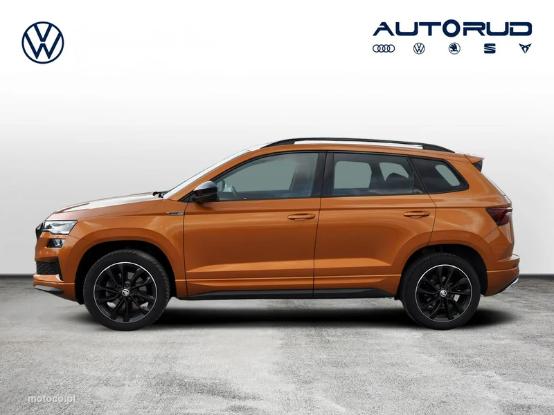 Skoda Karoq I 4