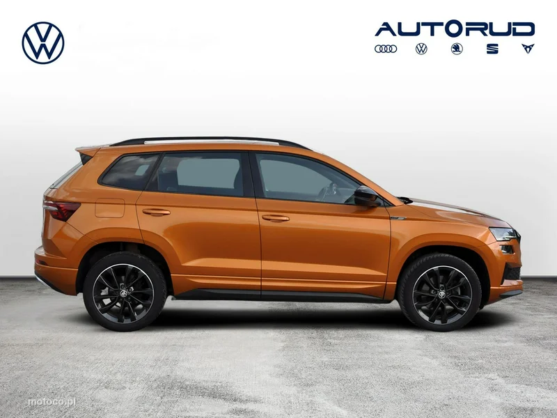 Skoda Karoq I 8