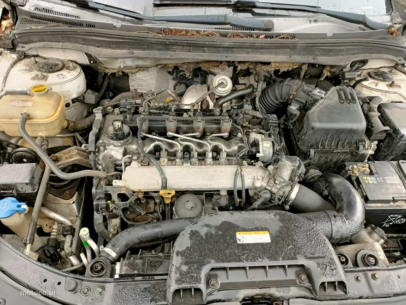 Hyundai i30 8