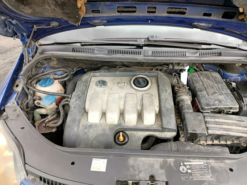 Volkswagen Golf Plus V 8