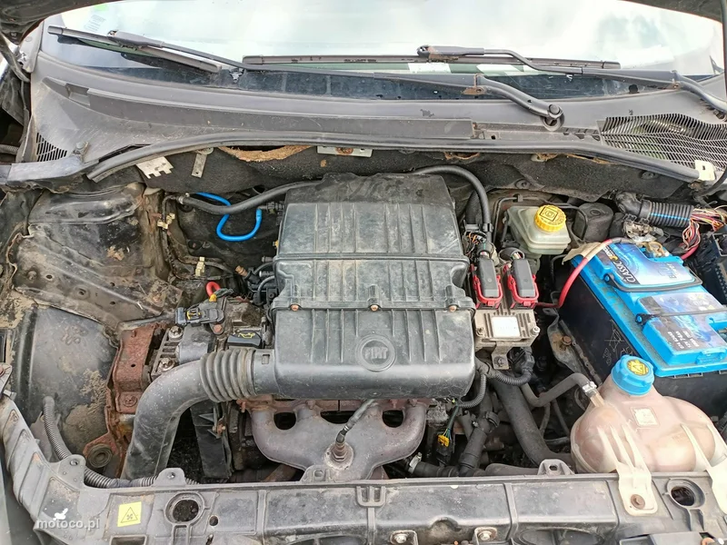 Fiat Punto 8