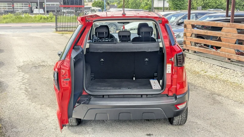 Ford EcoSport 31