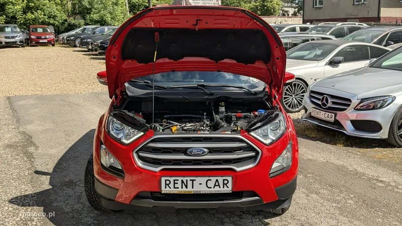 Ford EcoSport 33
