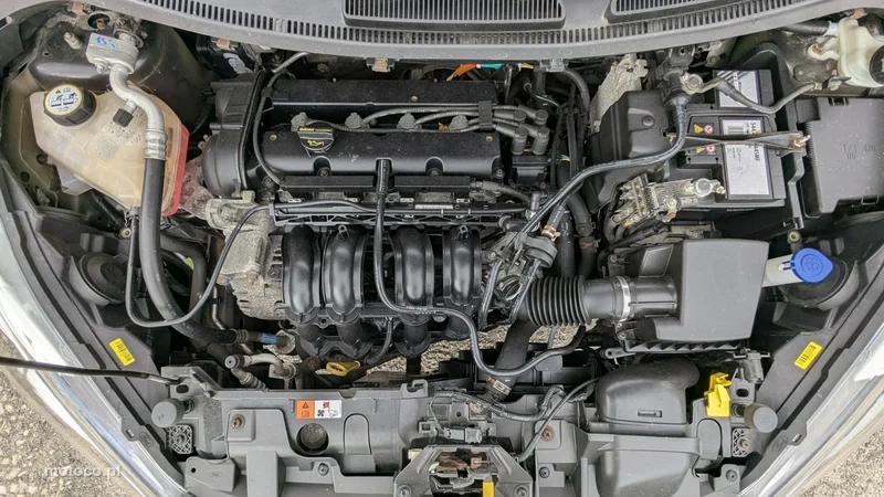 Ford Fiesta VI 36