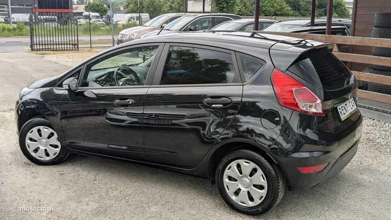 Ford Fiesta VI 10