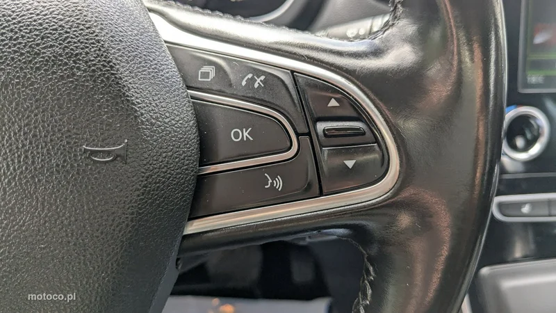 Renault Scenic IV 31