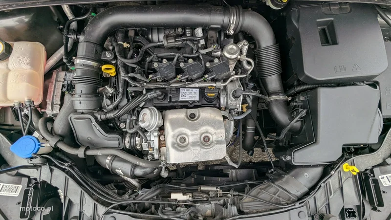 Ford Focus III 37