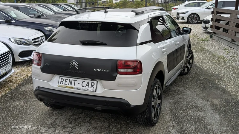 Citroen C4 Cactus 11