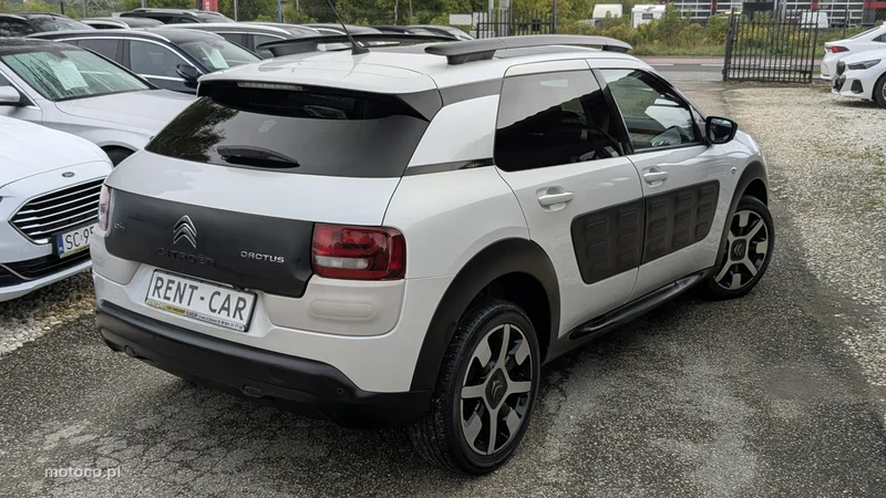 Citroen C4 Cactus 12