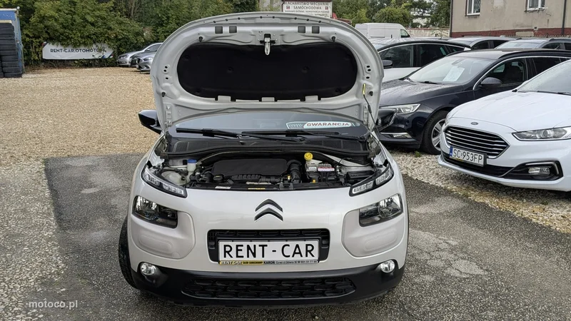 Citroen C4 Cactus 35