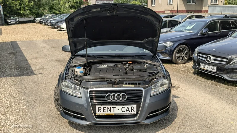 Audi A3 8P 38