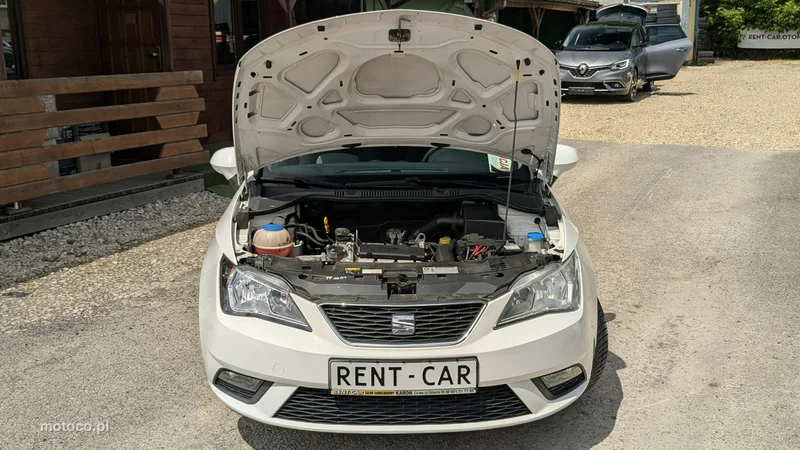 Seat Ibiza 38
