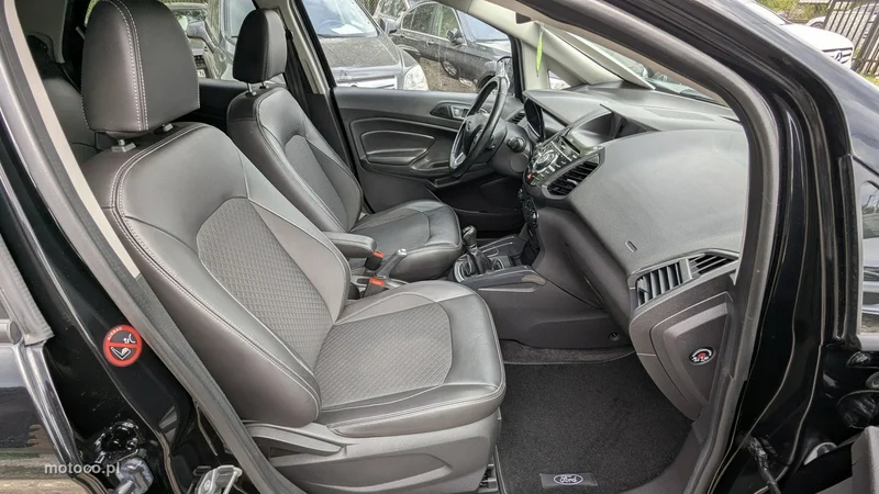 Ford EcoSport 18