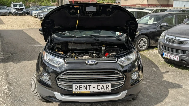 Ford EcoSport 37